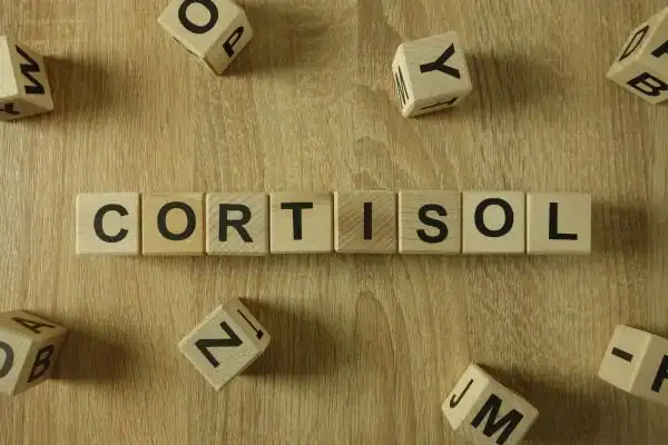 The Hidden Connection: How Stress Shapes Your Fitness and Body Composition 2 Image saying "Cortisol" and how stress Walsall impacts your wellbeing and bodies shape
